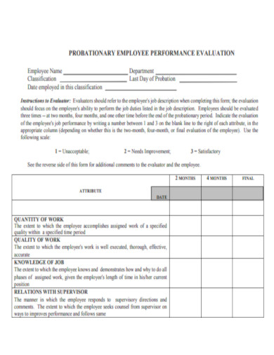 Probationary Performance Evaluation