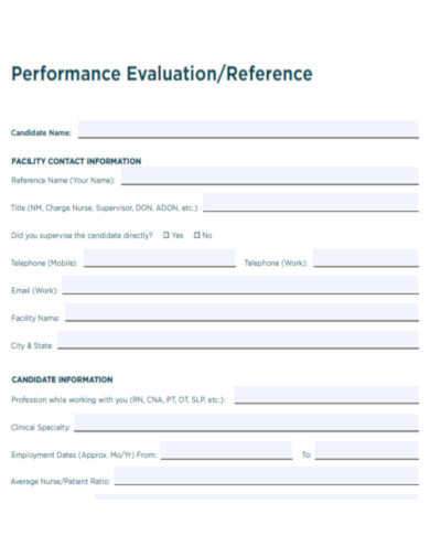 Professional Performance Evaluation