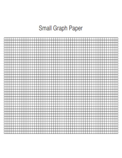 Small Graph Paper