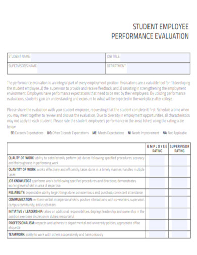 Student Employment Performance Evaluation