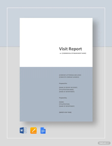 Visit Report Template