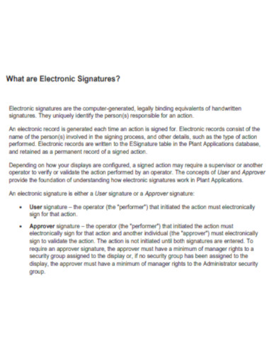 What are Electronic Signatures