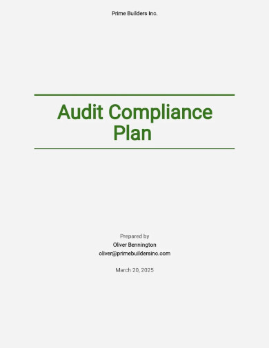 Audit Compliance Plan Template