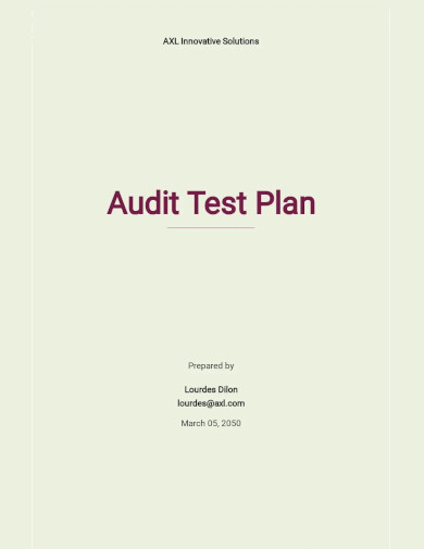 Audit Test Plan Template