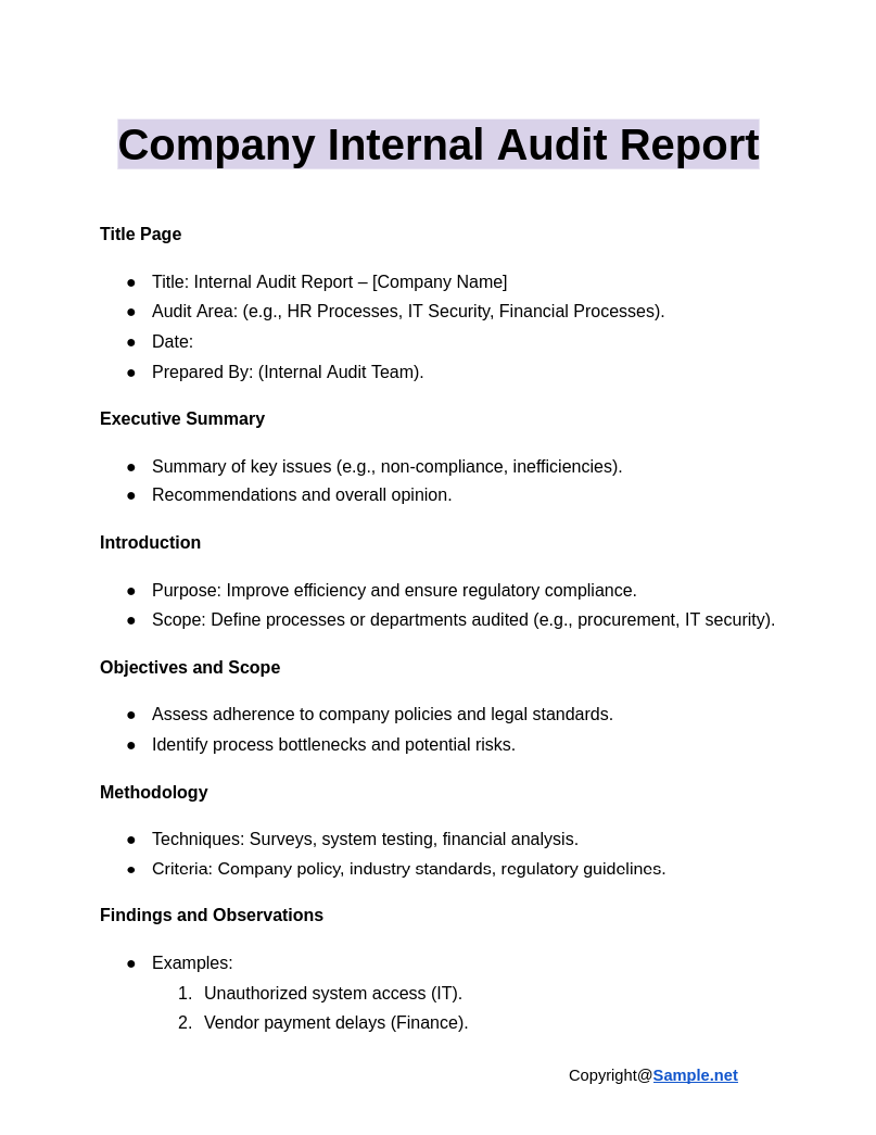 Company Internal Audit Report Google Docs 01 16 2025 11 17 AM