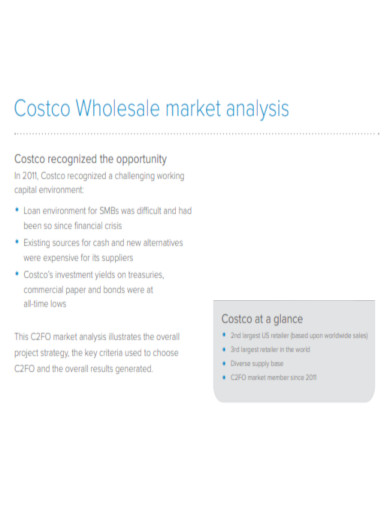 Costco Wholesale Market Analysis