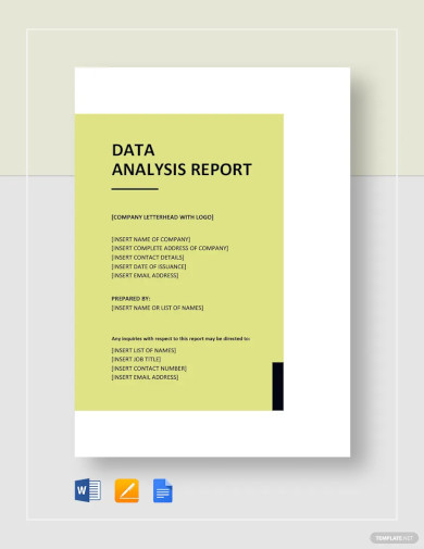 Data Analysis Report Template