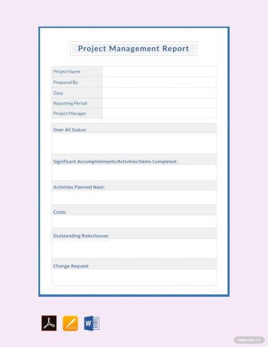 Editable Project Management Report Template