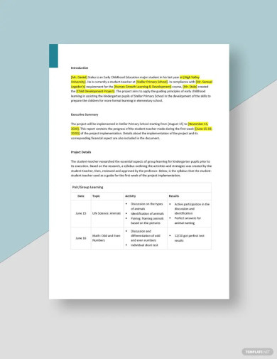 Free University Project Report Template