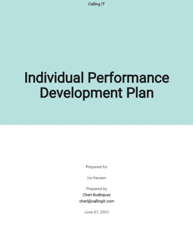 Individual Performance Development Plan Template