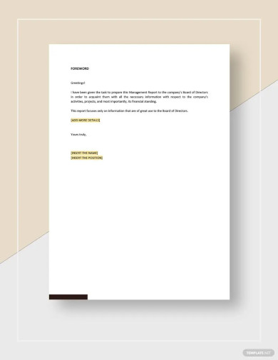 Management Report To Board of Directors Template