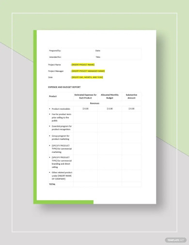 Monthly Product Management Report Template