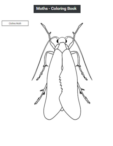 Moths Coloring Pages