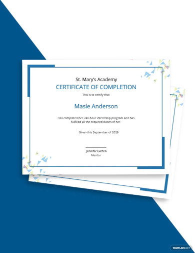 Official Certificate of Completion Template