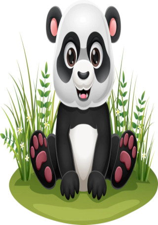 pandas sample image