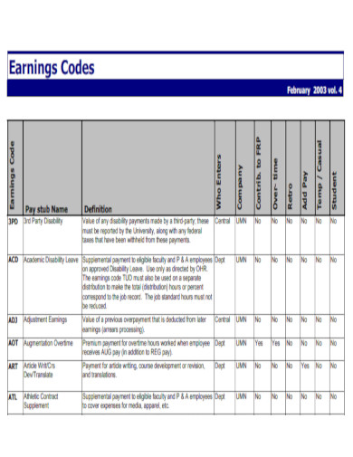 Pay Stub Earnings Codes