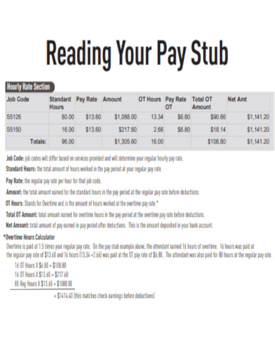 Pay Stub PDF