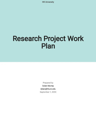 Research Project Work Plan Template