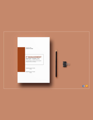 Sample IT Management Report Template