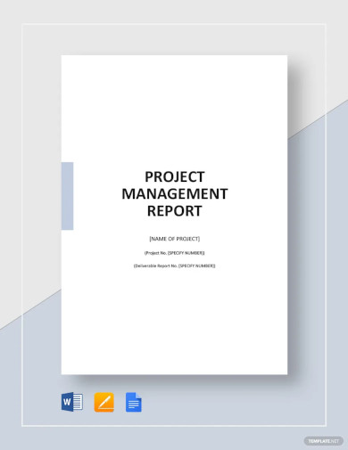 Simple Project Management Report Template