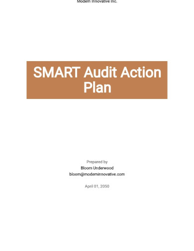 Smart Audit Action Plan Template