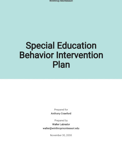 Special Education Behavior Intervention Plan Template