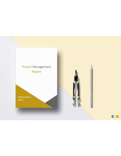 Standard Project Management Report Template