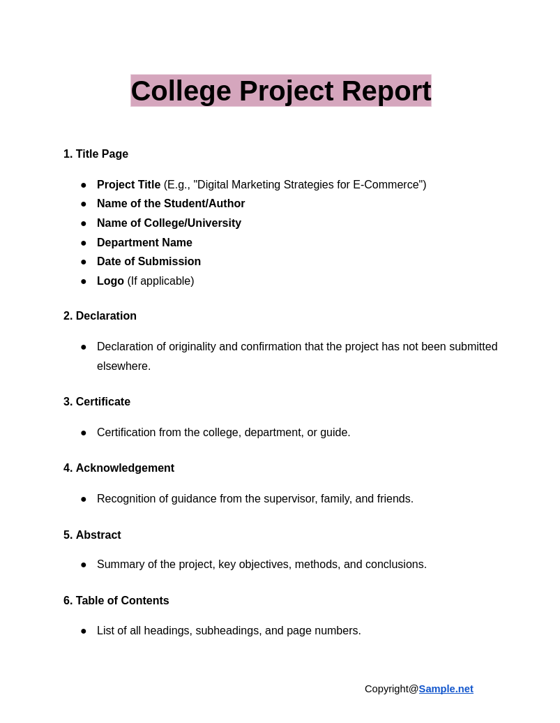 College Project Report Google Docs 12 17 2024 04 11 PM