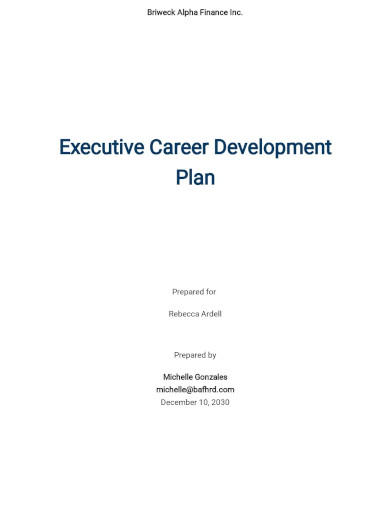 Executive Career Development Plan Template