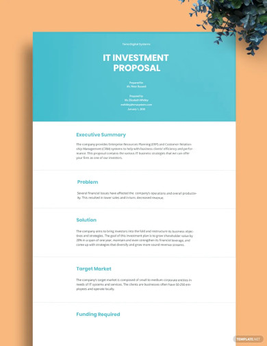 IT Investment Proposal Template