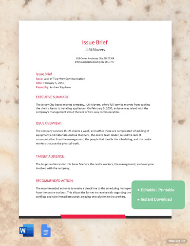 Issue Brief Template