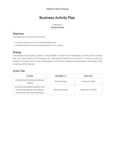 One Page Business Activity Plan Template