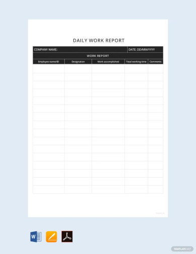 Sample Daily Work Report Template