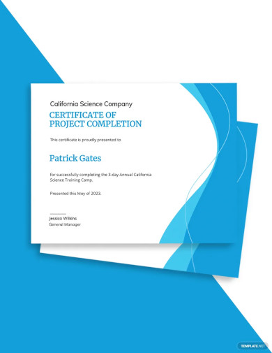 Simple Project Completion Certificate Template