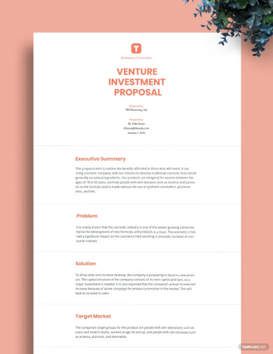 Venture Investment Proposal Template
