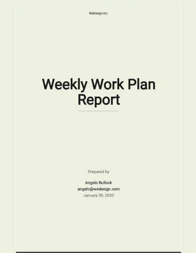 Weekly Work Plan Report Template