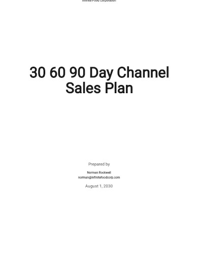 30 60 90 Day Channel Sales Plan Template