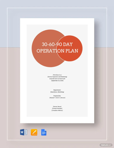 30 60 90 Day Operations Plan Template