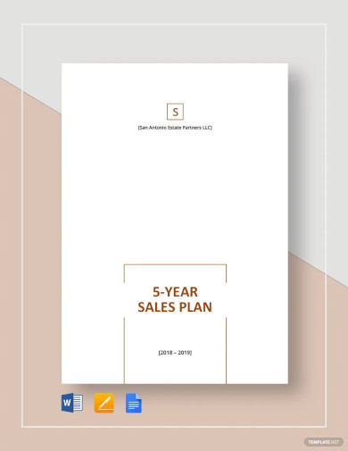 5 Year Sales Plan Template