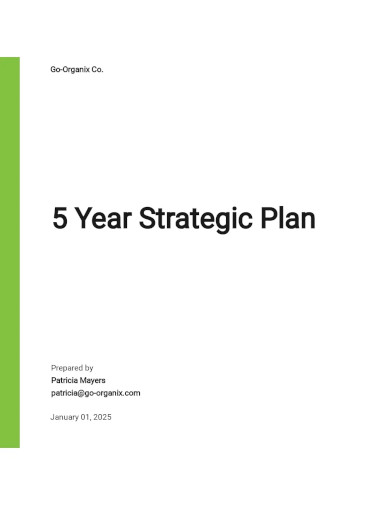 5 Year Strategic Plan Template