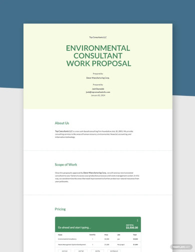 Consulting Work Proposal Template