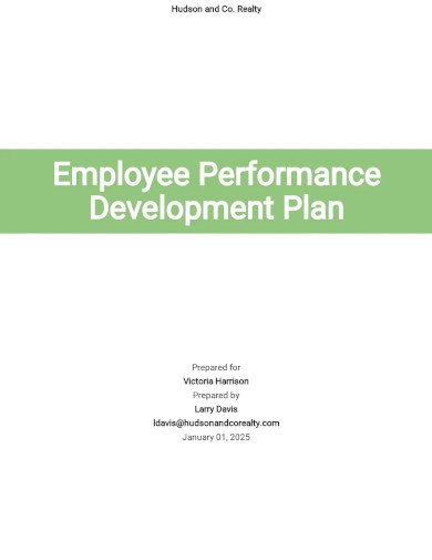 Employee Performance Development Plan Template
