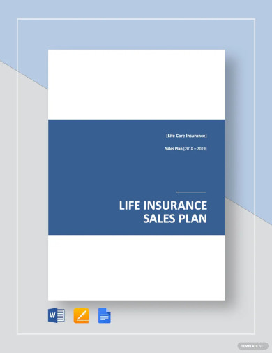 Life Insurance Sales Plan Template