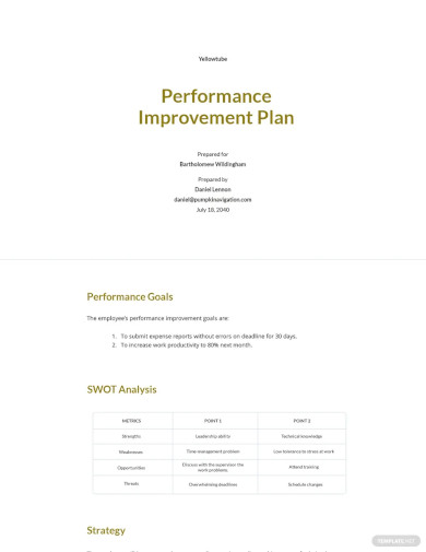 Printable Performance Improvement Plan Template