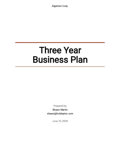 Simple 3 Year Business Plan Template