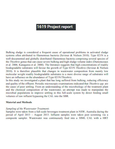 1619 Project Report