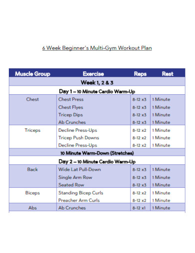 6 Week Beginner Multi Gym Workout Plan