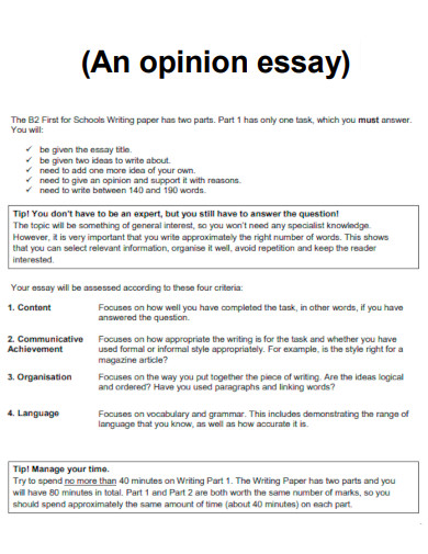 An Opinion Essay
