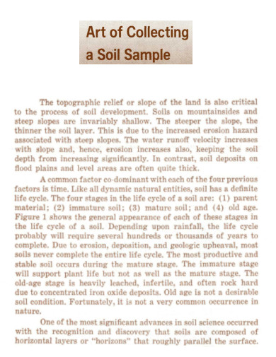 Art of Collecting Soil Sample