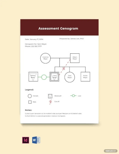 Assessment Genogram Example Template